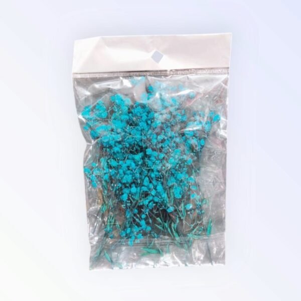 24 Dry Gipsy flowers