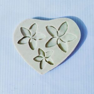 Silicon kathgolap mold