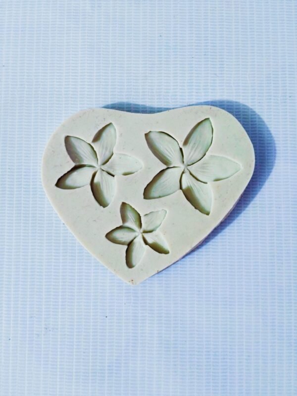 Silicon kathgolap mold